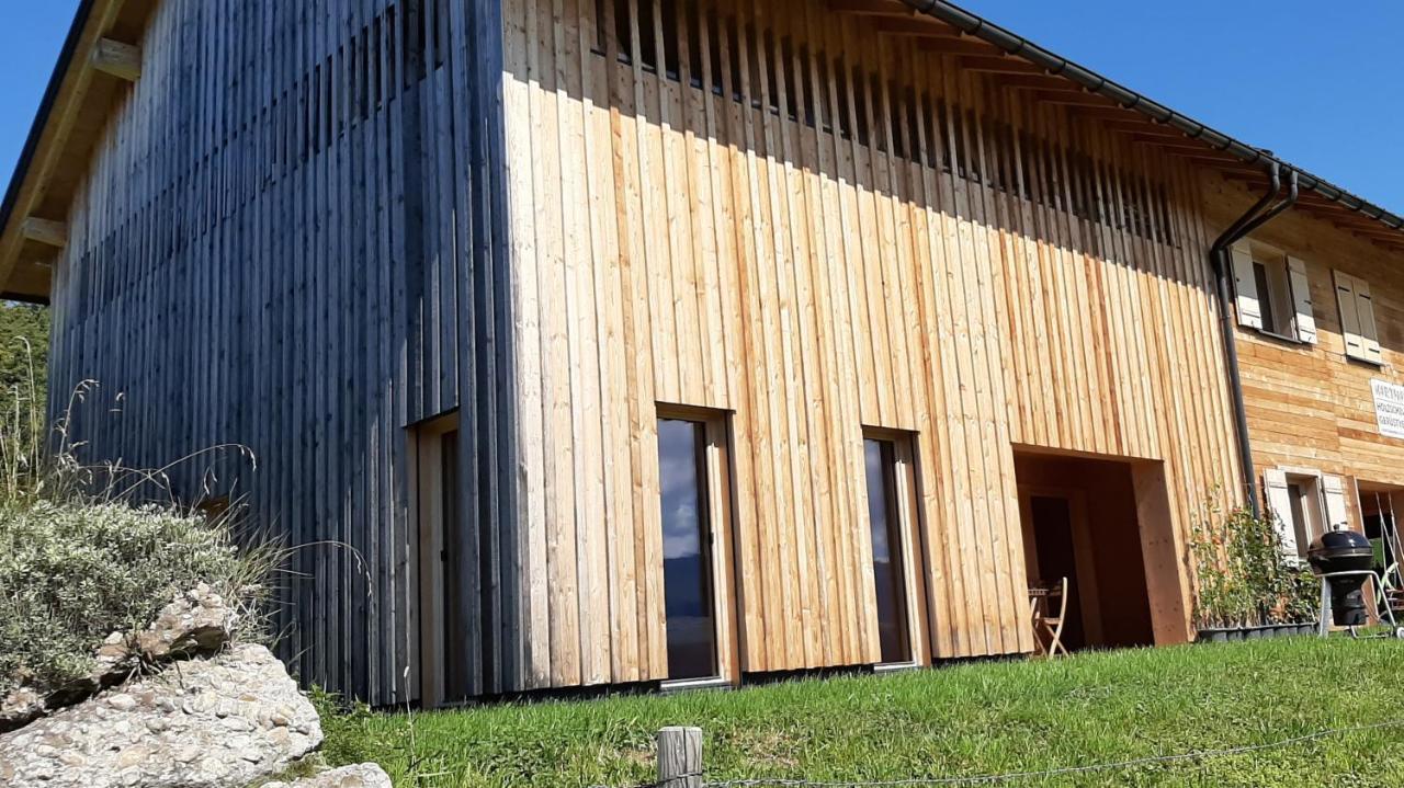 Ferienwohnung Schoenenbuehl Hittisau Εξωτερικό φωτογραφία