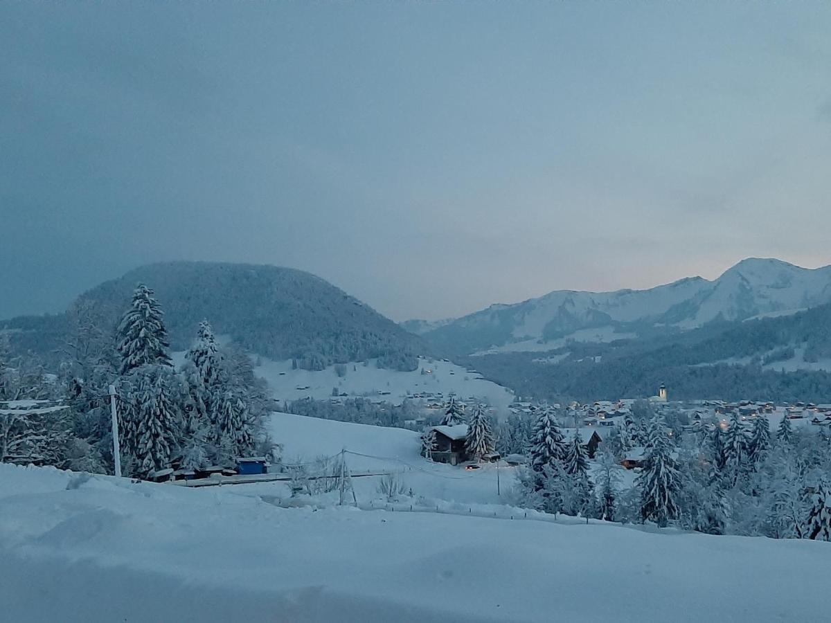 Ferienwohnung Schoenenbuehl Hittisau Εξωτερικό φωτογραφία