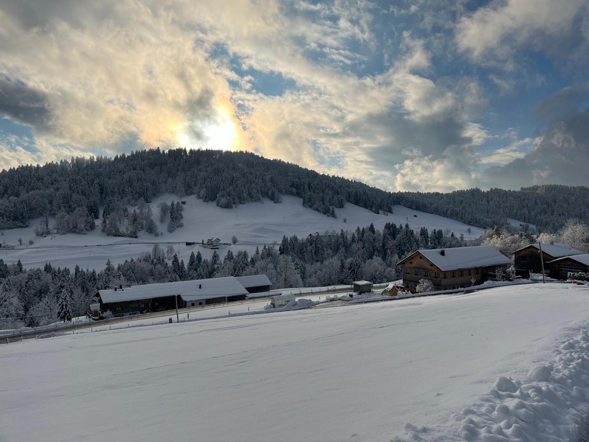 Ferienwohnung Schoenenbuehl Hittisau Εξωτερικό φωτογραφία
